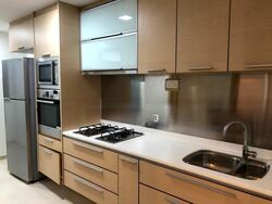 8 @ Mount Sophia (D9), Condominium #565492181